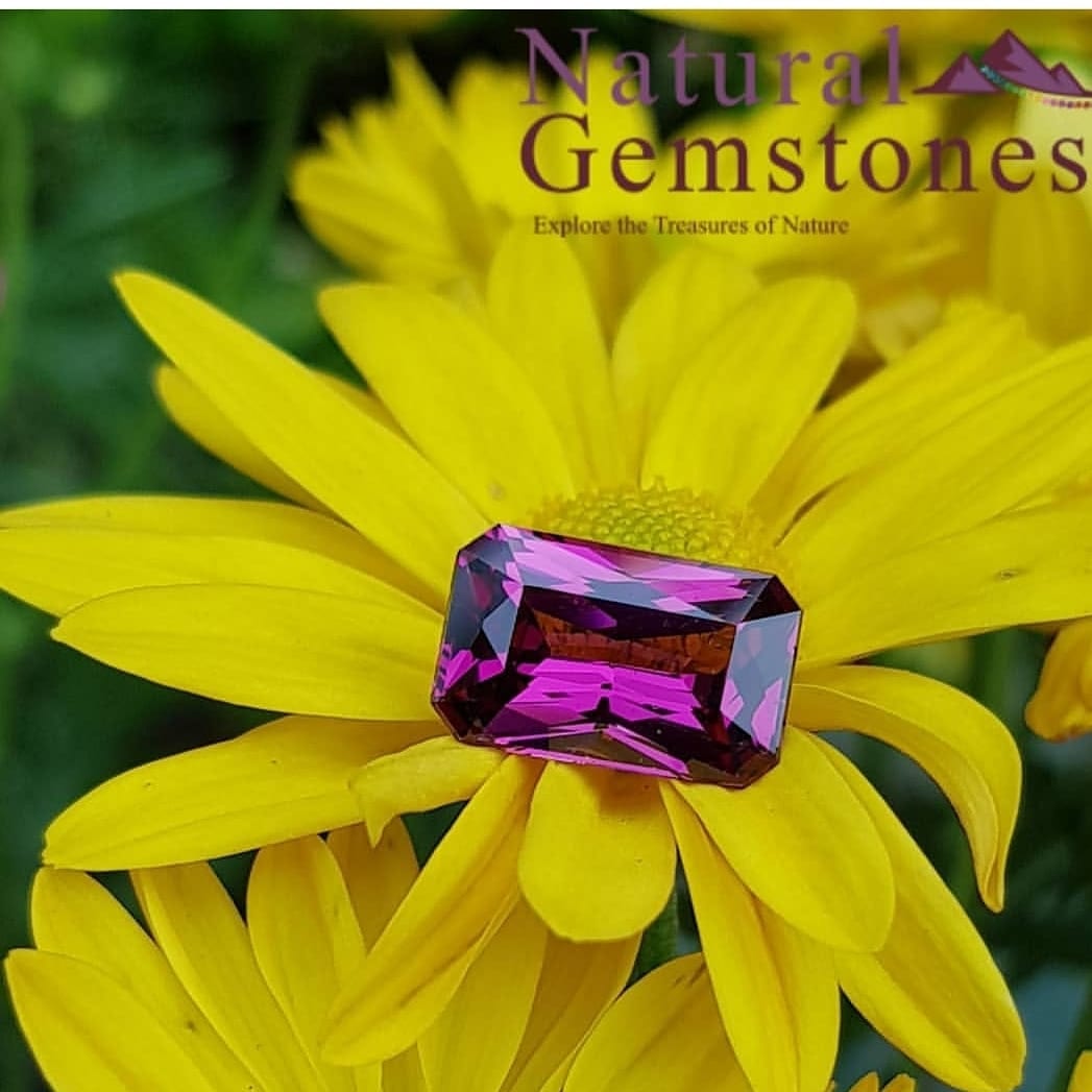 متجر أحجار كريمة دبي
هل تبحث عن مجوهرات أصلية من الياقوت أو الزبرجد في دبي؟ توفر لك Natural Gemstones مجموعة شاملة من مختلف الأحجار الكريمة وشبه الكريمة في الإمارات العربية المتحدة. نقدم مجموعة كبيرة...