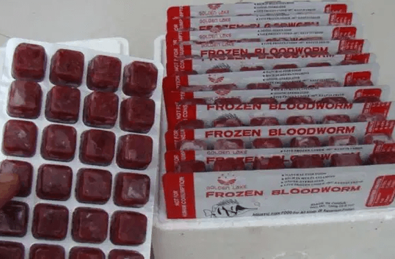 Frozen blood worms available