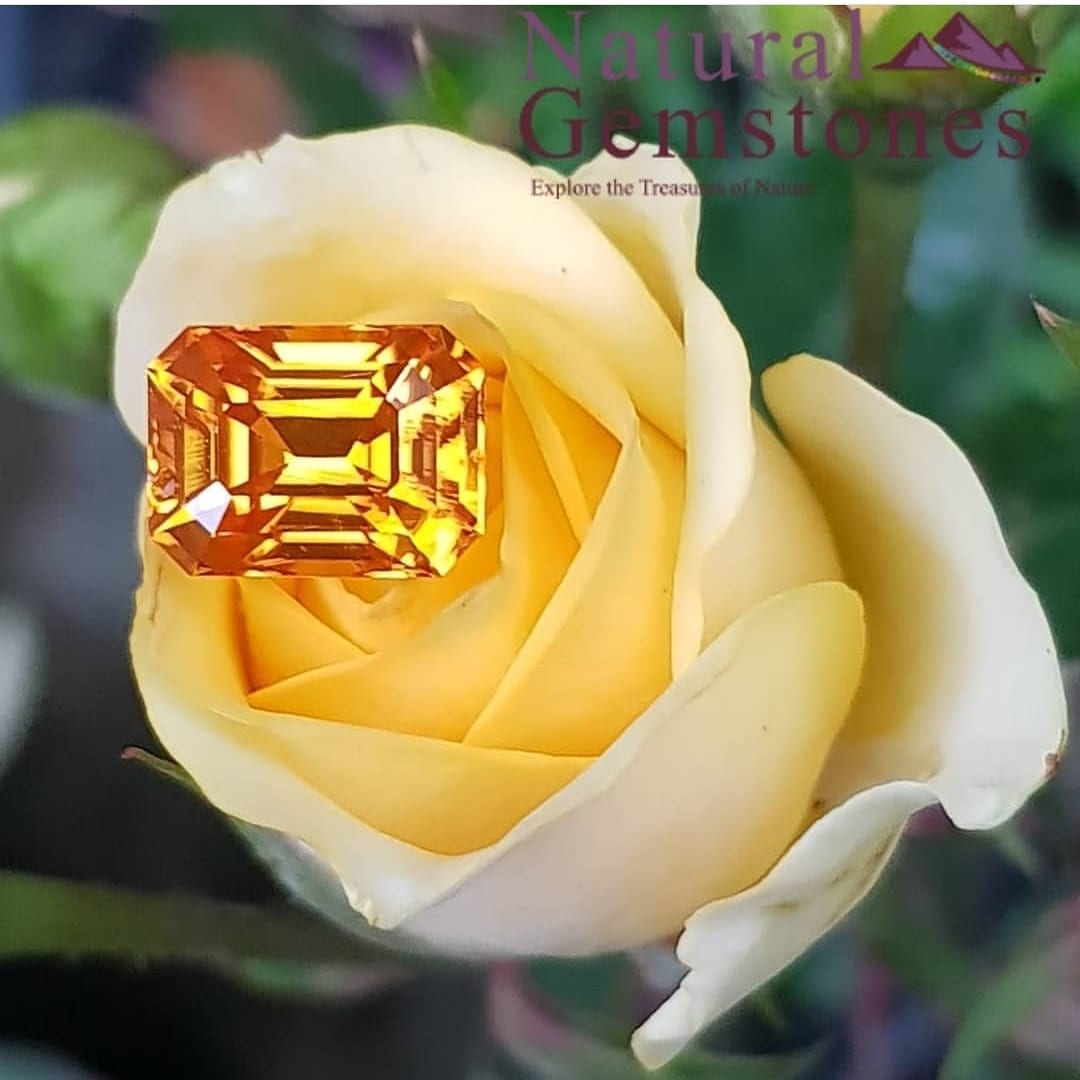 متجر أحجار كريمة دبي
هل تبحث عن مجوهرات أصلية من الياقوت أو الزبرجد في دبي؟ توفر لك Natural Gemstones مجموعة شاملة من مختلف الأحجار الكريمة وشبه الكريمة في الإمارات العربية المتحدة. نقدم مجموعة كبيرة...