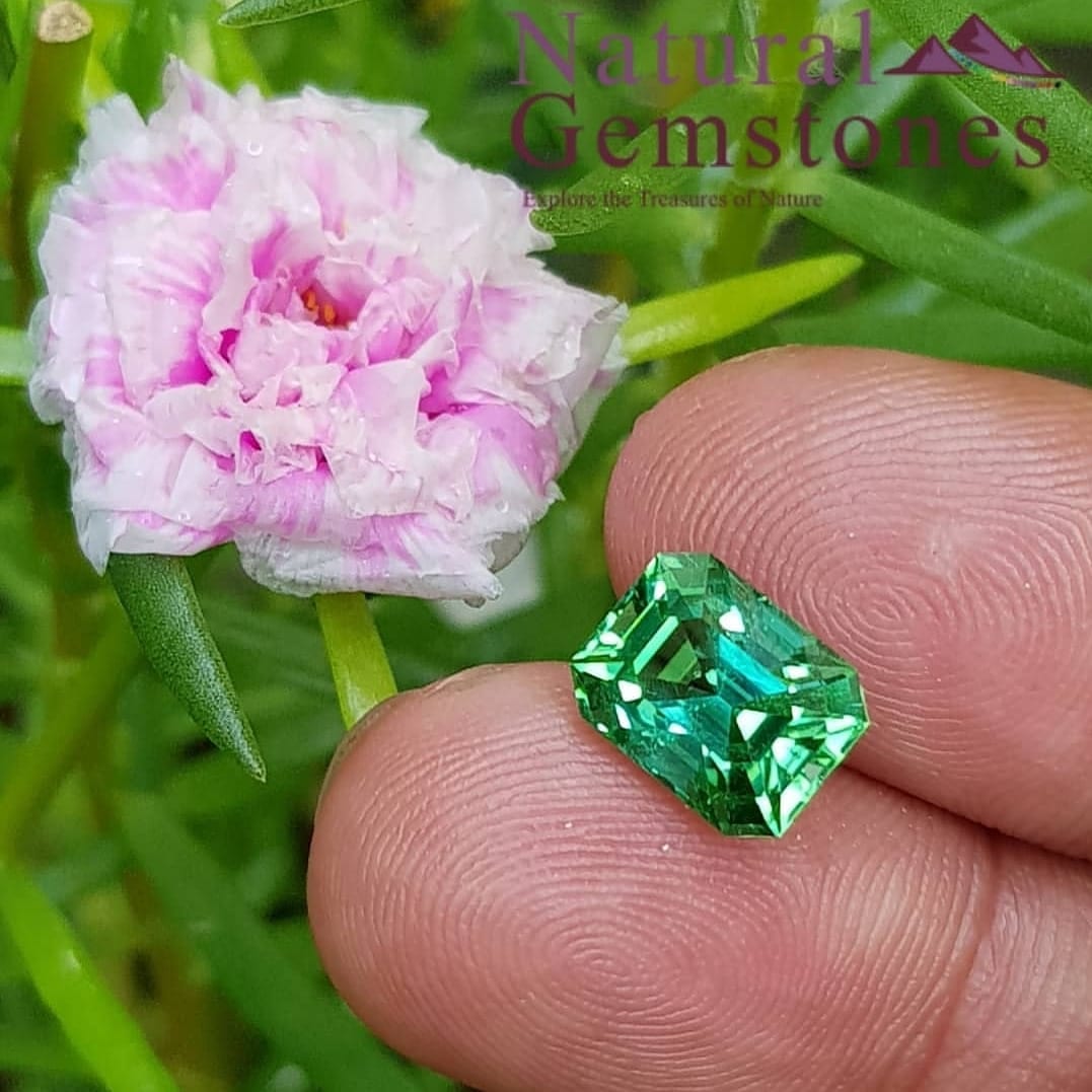متجر أحجار كريمة دبي
هل تبحث عن مجوهرات أصلية من الياقوت أو الزبرجد في دبي؟ توفر لك Natural Gemstones مجموعة شاملة من مختلف الأحجار الكريمة وشبه الكريمة في الإمارات العربية المتحدة. نقدم مجموعة كبيرة...
