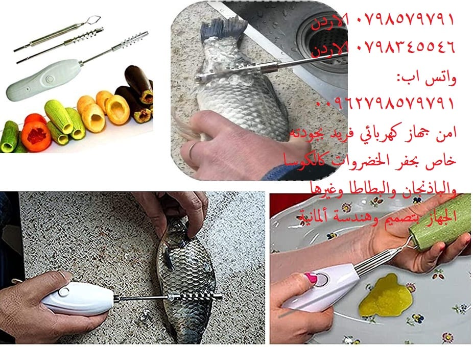 طريقة حفر الكوسا بدون حفارة تنظيف السمك | 3 رؤوس شحن طريقة سهلة لحفر الكوسا دون عناء مع 3 رؤوس الحفر